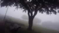 wymarzona angielska mgła w Bournemouth 